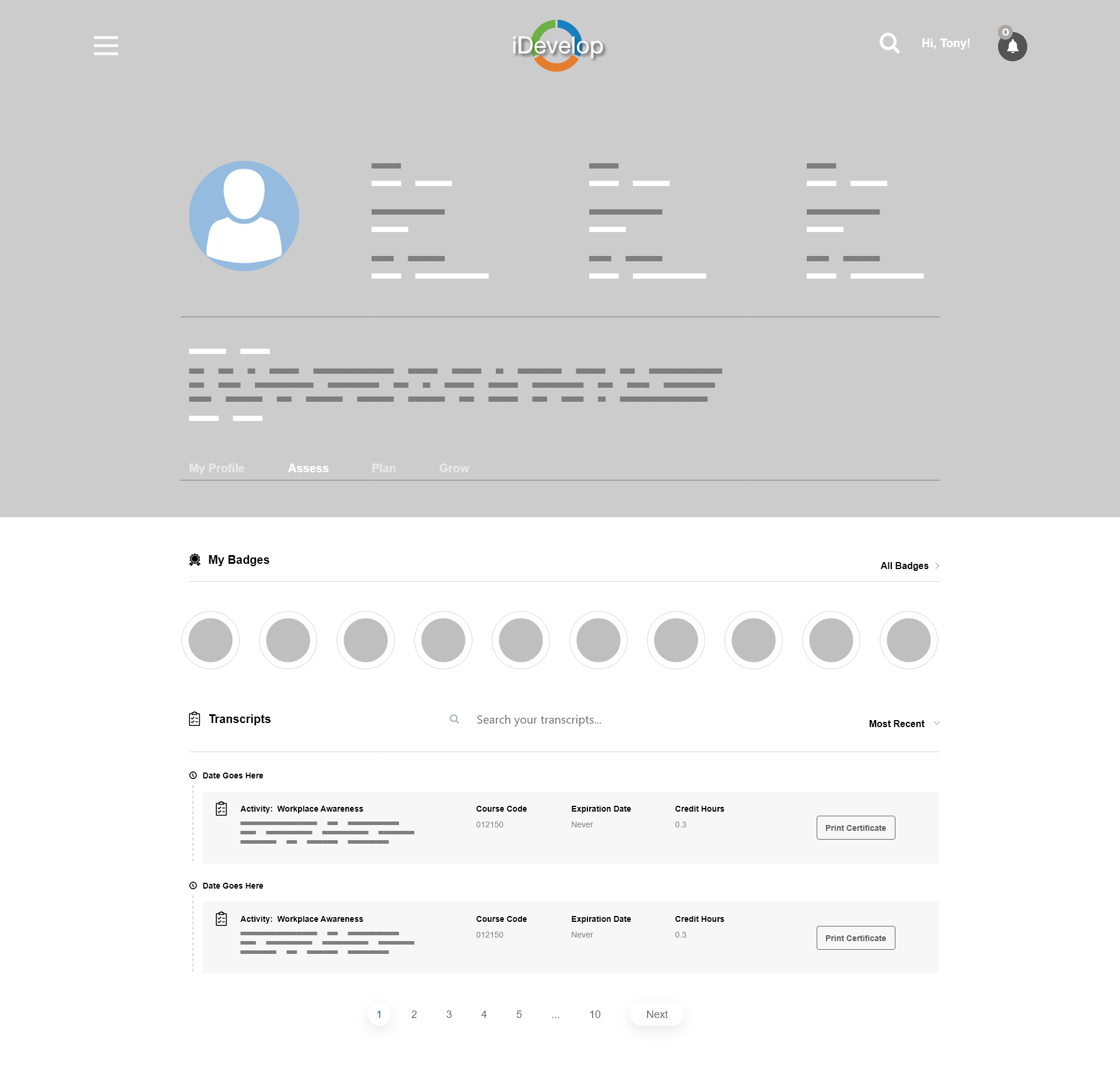 iDevelop Sample Wireframe