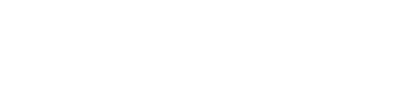 Small Webflow Logo